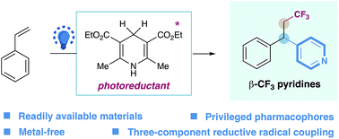 Graphical abstract: Metal-free, intermolecular carbopyridylation of alkenes via visible-light-induced reductive radical coupling