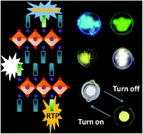 Graphical abstract: Highly efficient room-temperature phosphorescence and afterglow luminescence from common organic fluorophores in 2D hybrid perovskites