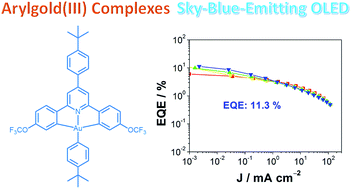 Graphical abstract: Rational molecular design for realizing high performance sky-blue-emitting gold(iii) complexes with monoaryl auxiliary ligands and their applications for both solution-processable and vacuum-deposited organic light-emitting devices