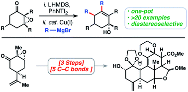 Graphical abstract: A copper-catalyzed double coupling enables a 3-step synthesis of the quassinoid core architecture