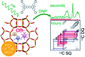 Graphical abstract: Fast detection and structural identification of carbocations on zeolites by dynamic nuclear polarization enhanced solid-state NMR