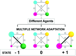 Graphical abstract: Multiple adaptation of constitutional dynamic networks and information storage in constitutional distributions of acylhydrazones