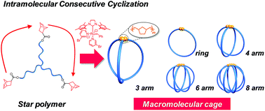 Graphical abstract: A versatile synthetic strategy for macromolecular cages: intramolecular consecutive cyclization of star-shaped polymers