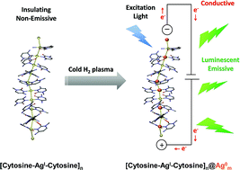 Graphical abstract: Multifunctional behavior of molecules comprising stacked cytosine–AgI–cytosine base pairs; towards conducting and photoluminescence silver-DNA nanowires