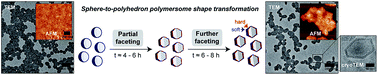 Graphical abstract: Faceted polymersomes: a sphere-to-polyhedron shape transformation
