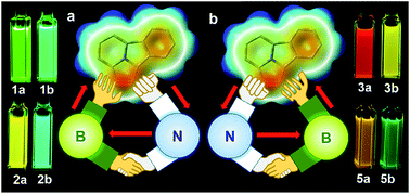 Graphical abstract: The opposite and amplifying effect of B ← N coordination on photophysical properties of regioisomers with an unsymmetrical backbone