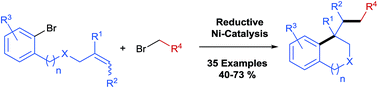Graphical abstract: Ni-catalysed reductive arylalkylation of unactivated alkenes