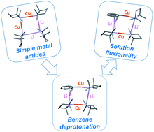 Graphical abstract: A new route for the efficient metalation of unfunctionalized aromatics