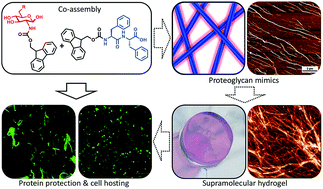 Graphical abstract: Minimalistic supramolecular proteoglycan mimics by co-assembly of aromatic peptide and carbohydrate amphiphiles