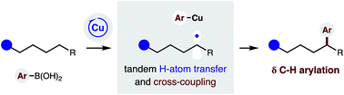 Graphical abstract: δ C–H (hetero)arylation via Cu-catalyzed radical relay