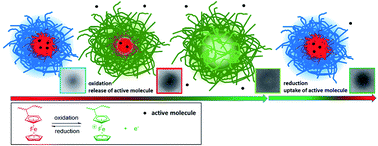 Graphical abstract: Cargo shuttling by electrochemical switching of core–shell microgels obtained by a facile one-shot polymerization