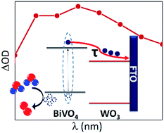 Graphical abstract: WO3/BiVO4: impact of charge separation at the timescale of water oxidation