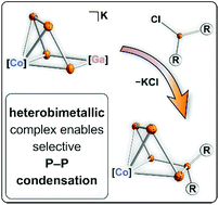 Graphical abstract: Construction of alkyl-substituted pentaphosphido ligands in the coordination sphere of cobalt