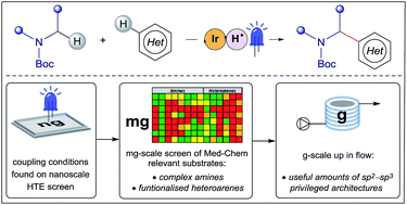 Graphical abstract: Enabling synthesis in fragment-based drug discovery by reactivity mapping: photoredox-mediated cross-dehydrogenative heteroarylation of cyclic amines
