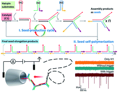 Graphical abstract: Exploration of solid-state nanopores in characterizing reaction mixtures generated from a catalytic DNA assembly circuit