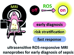 Graphical abstract: Ultrasensitive magnetic resonance imaging of systemic reactive oxygen species in vivo for early diagnosis of sepsis using activatable nanoprobes