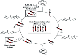 Graphical abstract: Synthesis and folding behaviour of poly(p-phenylene vinylene)-based β-sheet polychromophores