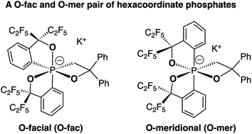 Graphical abstract: Synthesis and characterization of a pair of O-fac/O-mer 12-P-6 alkyloxaphosphates with a P–O–C–C four-membered ring