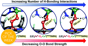 Graphical abstract: Influence of intramolecular secondary sphere hydrogen-bonding interactions on cytochrome c oxidase inspired low-spin heme–peroxo–copper complexes