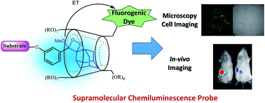 Graphical abstract: Light emission enhancement by supramolecular complexation of chemiluminescence probes designed for bioimaging