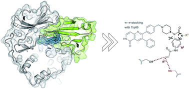 Graphical abstract: Structural and chemical insights into the covalent-allosteric inhibition of the protein kinase Akt