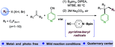 Graphical abstract: Perfluoroalkylative pyridylation of alkenes via 4-cyanopyridine-boryl radicals
