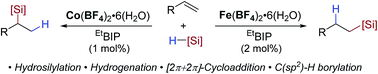 Graphical abstract: Regiodivergent hydrosilylation, hydrogenation, [2π + 2π]-cycloaddition and C–H borylation using counterion activated earth-abundant metal catalysis