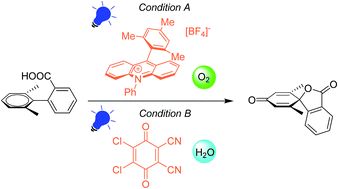 Graphical abstract: Functionalized spirolactones by photoinduced dearomatization of biaryl compounds