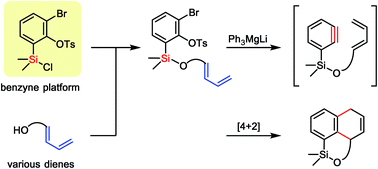 Graphical abstract: 2-Bromo-6-(chlorodiisopropylsilyl)phenyl tosylate as an efficient platform for intramolecular benzyne–diene [4 + 2] cycloaddition
