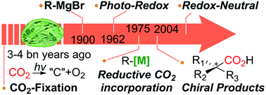 Graphical abstract: Toward ideal carbon dioxide functionalization