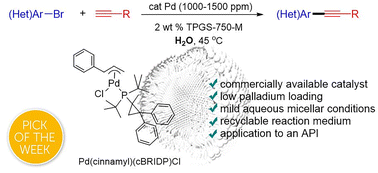 Graphical abstract: ppm Pd-catalyzed, Cu-free Sonogashira couplings in water using commercially available catalyst precursors