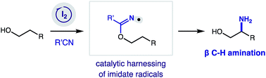 Graphical abstract: Catalytic β C–H amination via an imidate radical relay