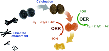 Graphical abstract: Bifunctional electrocatalytic CoNi-doped manganese oxide produced from microdumbbell manganese carbonate towards oxygen reduction and oxygen evolution reactions