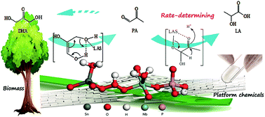 Graphical abstract: Crystalline niobium phosphates with water-tolerant and adjustable Lewis acid sites for the production of lactic acid from triose sugars