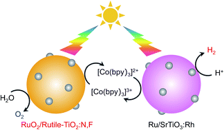 Graphical abstract: Nitrogen/fluorine-codoped rutile titania as a stable oxygen-evolution photocatalyst for solar-driven Z-scheme water splitting