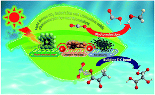 Graphical abstract: Photoredox systems with biocatalysts for CO2 utilization