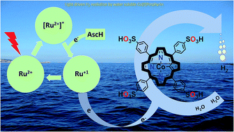 Graphical abstract: Photocatalytic hydrogen evolution from neutral aqueous solution by a water-soluble cobalt(ii) porphyrin
