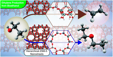 Graphical abstract: Sustainable production of ethylene from bioethanol over hierarchical ZSM-5 nanosheets