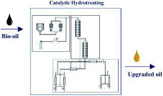 Graphical abstract: Hydrotreating of Hydrofaction™ biocrude in the presence of presulfided commercial catalysts