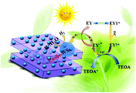 Graphical abstract: Rational design W-doped Co-ZIF-9 based Co3S4 composite photocatalyst for efficient visible-light-driven photocatalytic H2 evolution