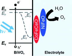 Graphical abstract: Interface engineering for light-driven water oxidation: unravelling the passivating and catalytic mechanism in BiVO4 overlayers