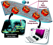 Graphical abstract: Performance enhancement of a supercapacitor negative electrode based on loofah sponge derived oxygen rich carbon through encapsulation of MoO3 nanoflowers