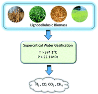 Graphical abstract: Supercritical water gasification of biomass: a state-of-the-art review of process parameters, reaction mechanisms and catalysis