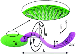 Graphical abstract: Propulsion and controlled steering of magnetic nanohelices