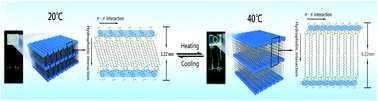 Graphical abstract: A temperature-responsive supramolecular hydrogel: preparation, gel–gel transition and molecular aggregation