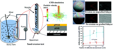 Graphical abstract: Scalable and durable polymeric icephobic and hydrate-phobic coatings