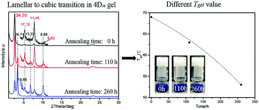 Graphical abstract: Lamellar–cubic transition of a dihydrazide derivative and its effect on the gel stability