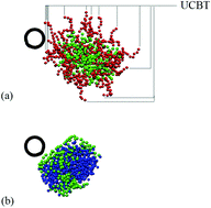 Graphical abstract: A coarse grained molecular dynamics simulation study on the structural properties of carbon nanotube–dendrimer composites