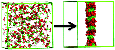 Graphical abstract: Prediction of striped cylindrical micelles (SCMs) formed by dodecyl-β-d-maltoside (DDM) surfactants