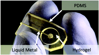 Graphical abstract: Soft electrodes combining hydrogel and liquid metal